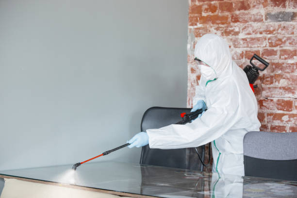 Best Mold Odor Removal Services  in Grafton, WV